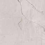Regal Silver Glossy