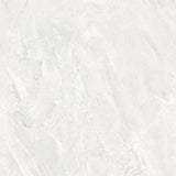 Alix Olive LT - Carving Collection
