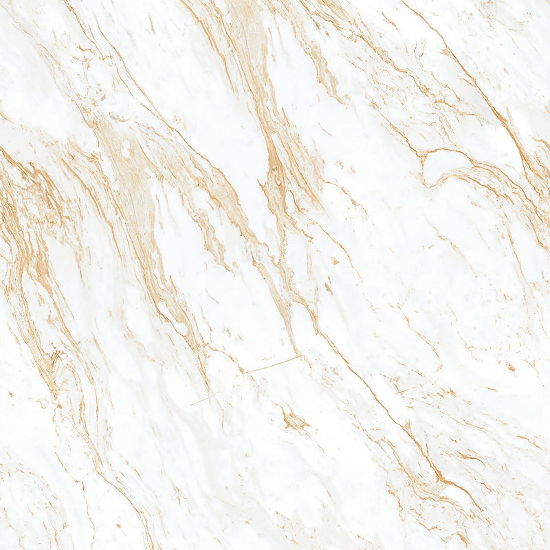 MOON CREMA